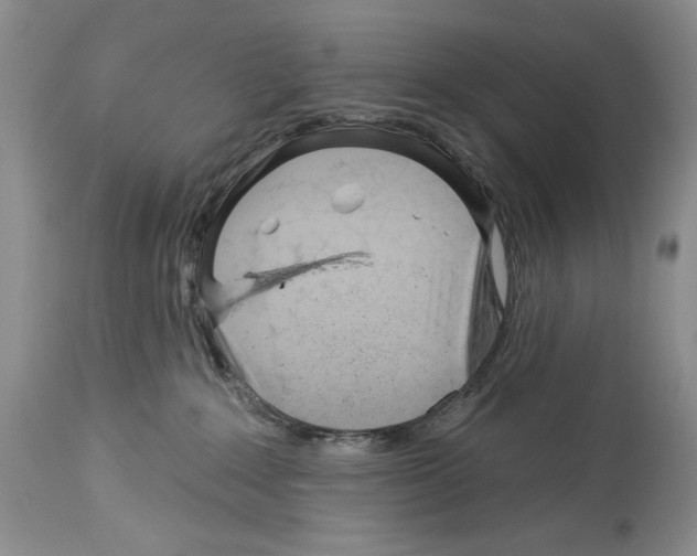 X0000114070235200911161200