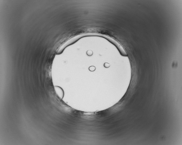 X0000114070240200911161200