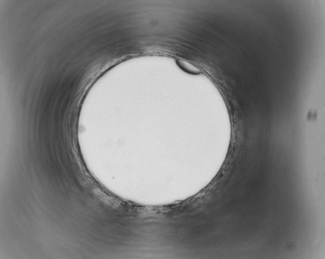 X0000114070241200911161159