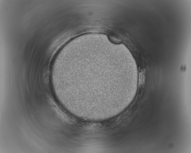 X0000114070243200911161159