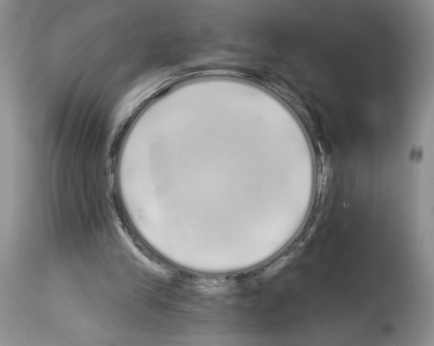 X0000114070245200911161159