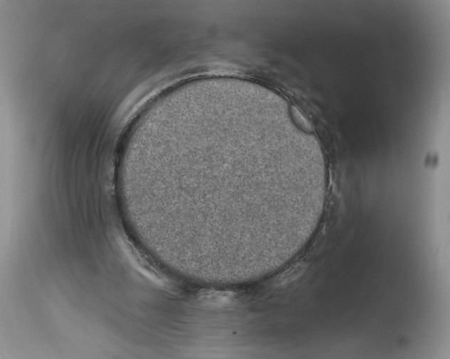 X0000114070247200911161159