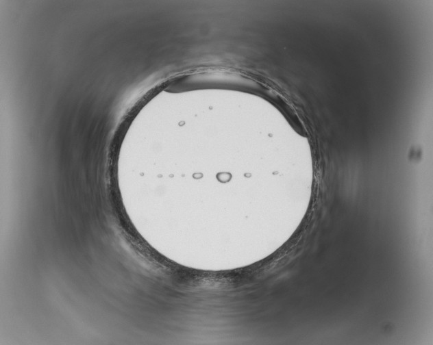 X0000114070248200911161159