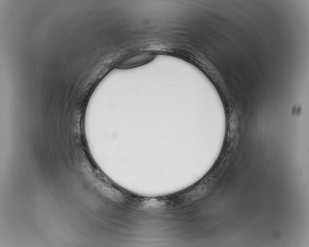 X0000114070257200911161159