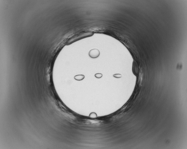 X0000114070260200911161159