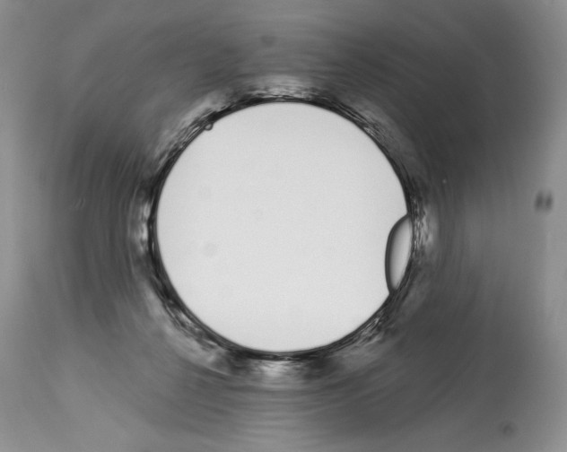 X0000114070264200911161159