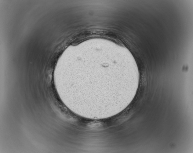 X0000114070271200911161159