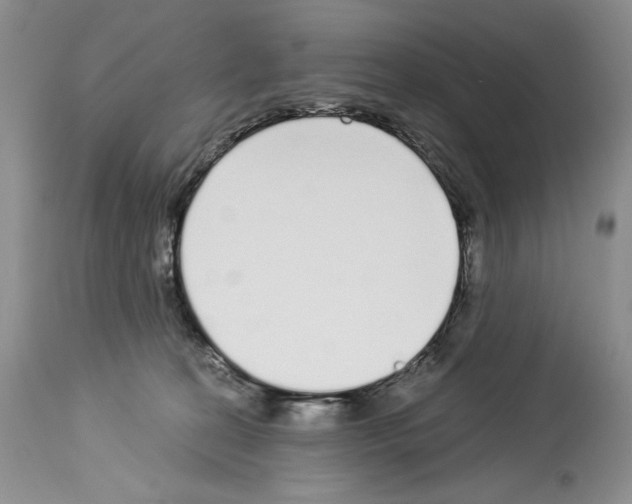 X0000114070274200911161159