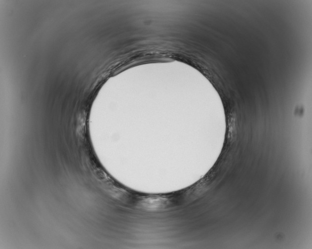 X0000114070278200911161159