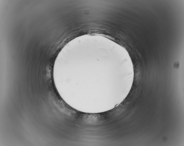 X0000114070282200911161159