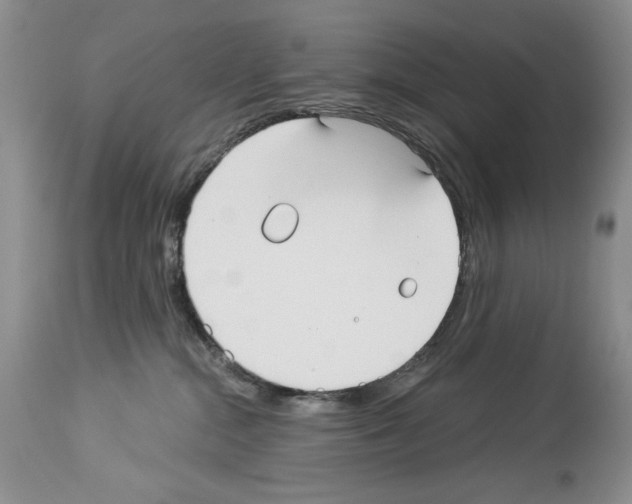 X0000114070284200911161159