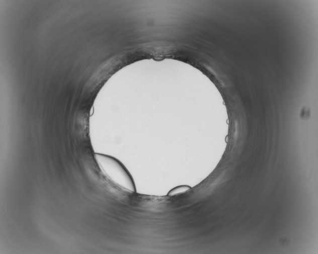 X0000114070288200911161159