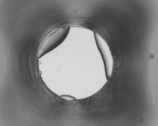 X0000114070289200911161159