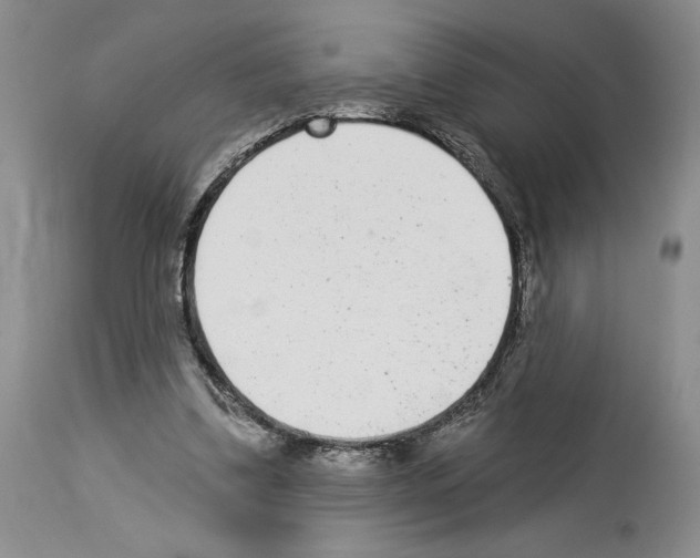 X0000114070299200911161159