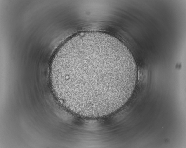 X0000114070301200911161158