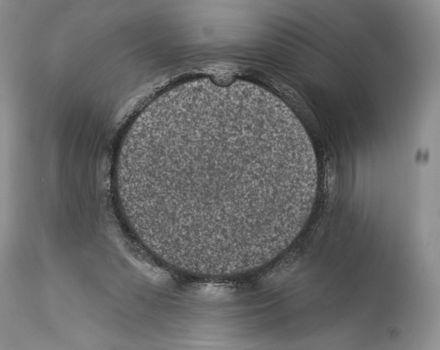 X0000114070303200911161158