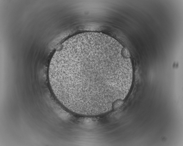 X0000114070305200911161158