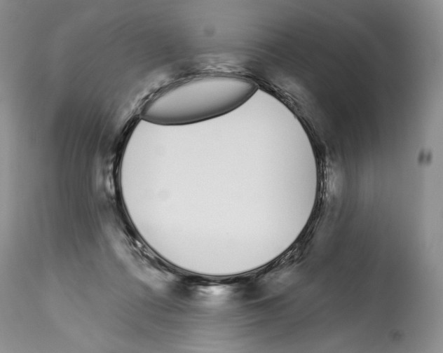 X0000114070312200911161158