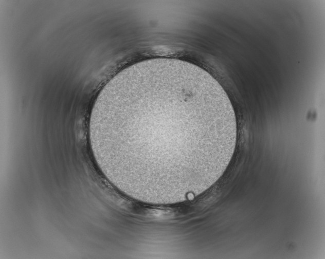 X0000114070317200911161158