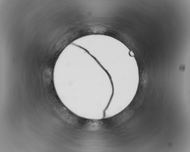 X0000114070321200911161158