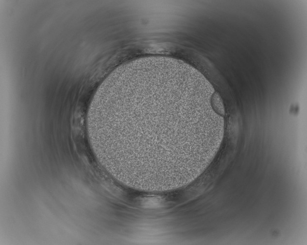 X0000114070322200911161158