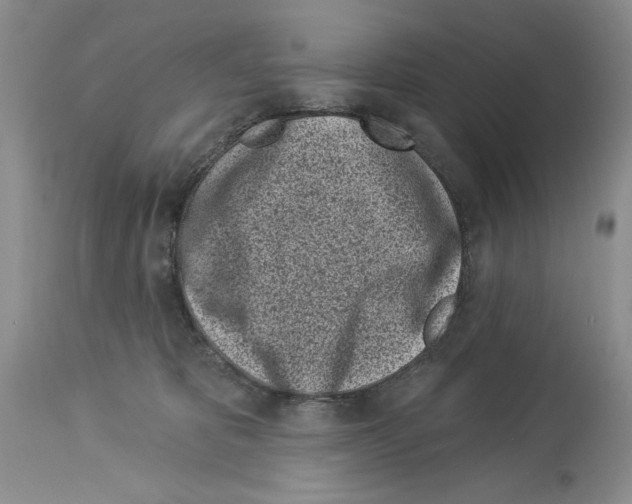 X0000114070325200911161158