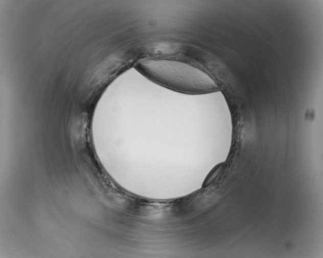 X0000114070328200911161158