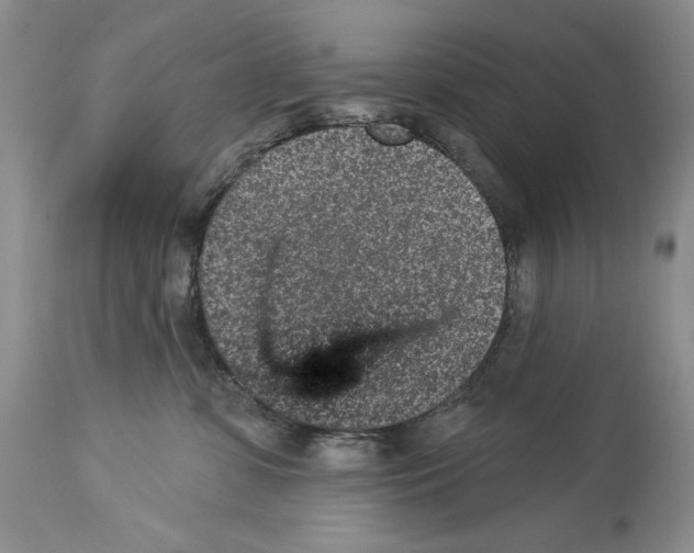 X0000114070331200911161158