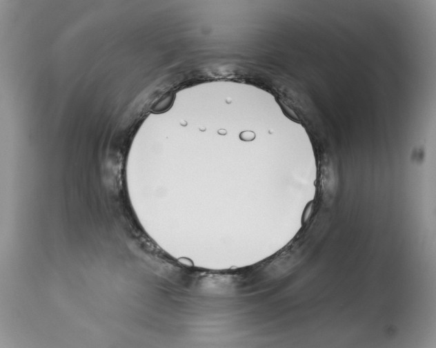 X0000114070332200911161158