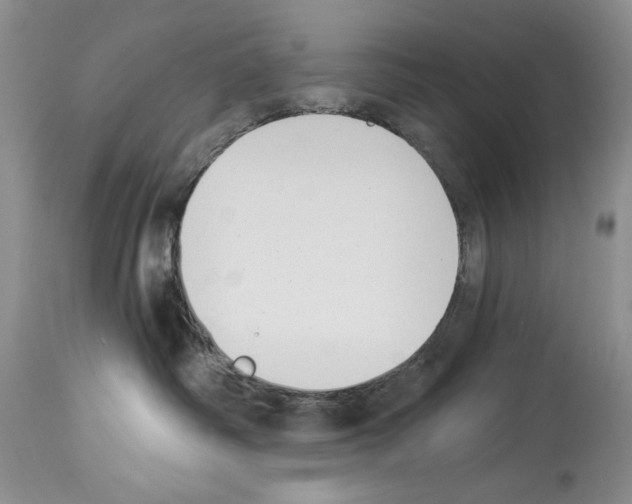 X0000114070334200911161158