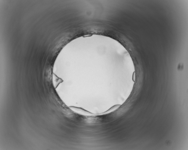 X0000114070336200911161158