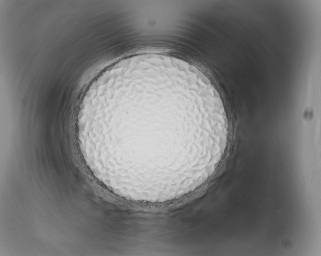 X0000114070337200911161157