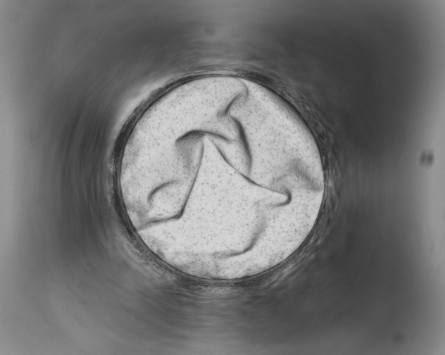 X0000114070342200911161157