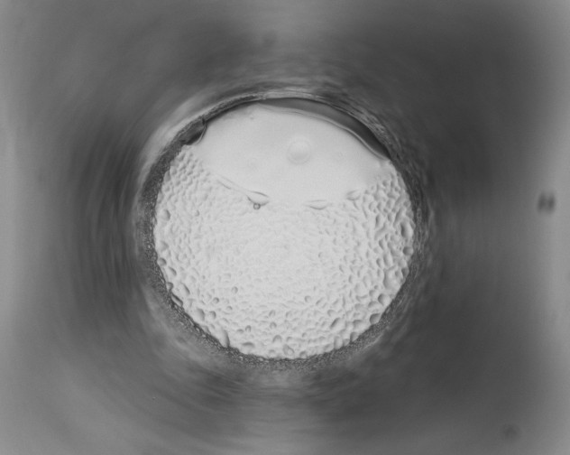 X0000114070343200911161157