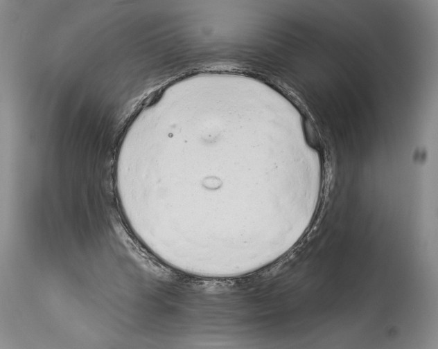 X0000114070345200911161157