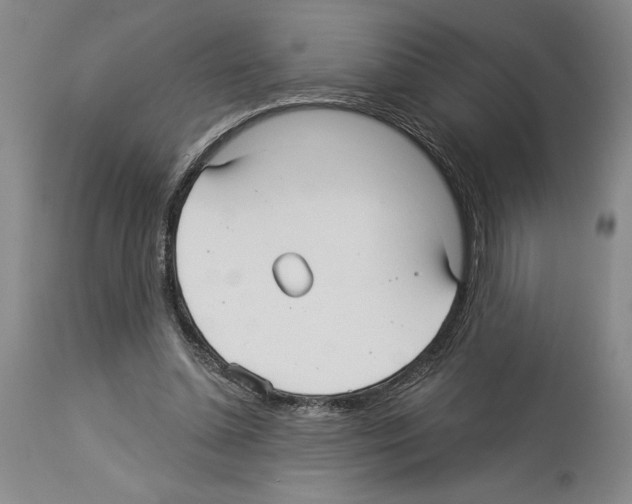 X0000114070348200911161157