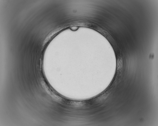 X0000114070349200911161157