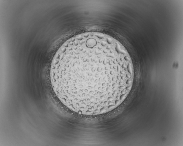 X0000114070353200911161157