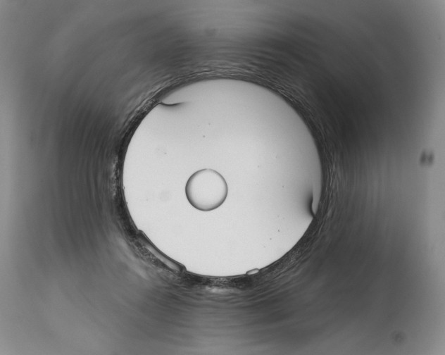 X0000114070360200911161157