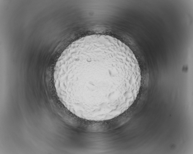 X0000114070365200911161158