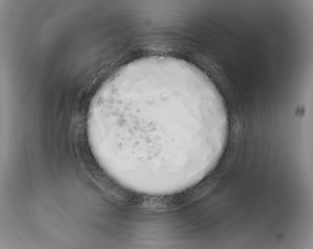 X0000114070369200911161158