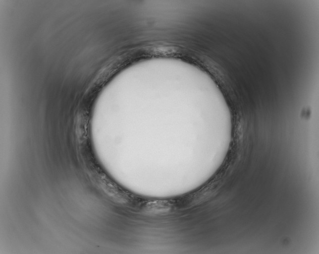 X0000114070373200911161158