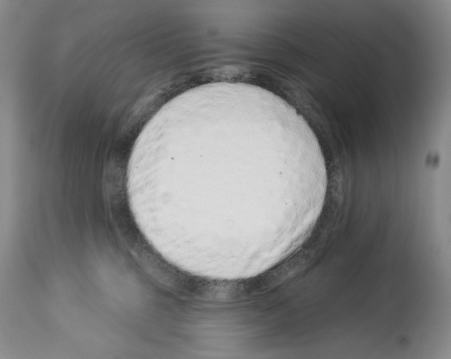 X0000114070375200911161158