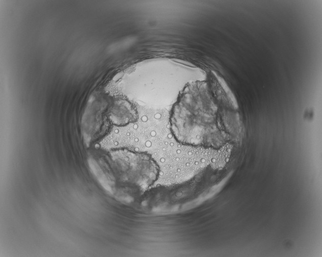 X0000114070377200911161158