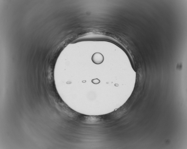 X0000114070380200911161158