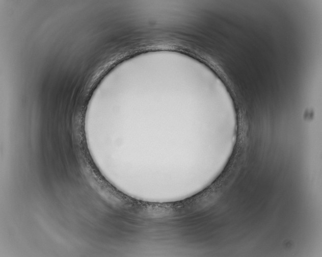 X0000114070386200911161157