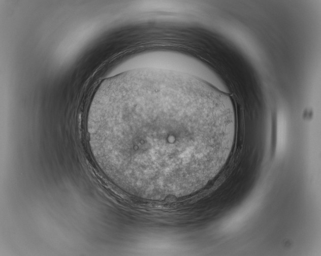 X0000114070387200911161157