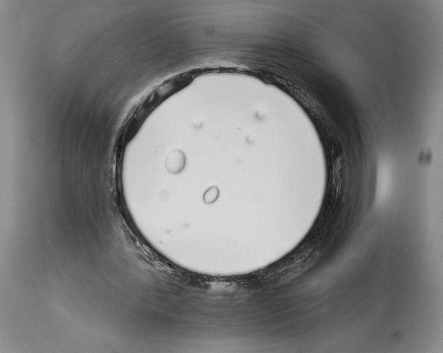 X0000114070388200911161157