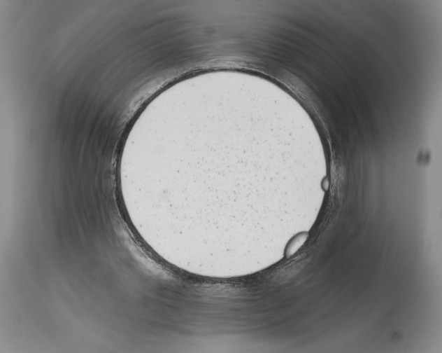 X0000114070389200911161157