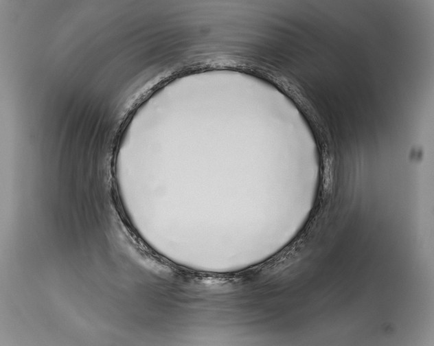 X0000114070390200911161157